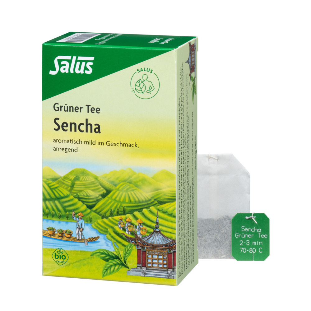 Salus Grüner Tee Sencha 15 FB